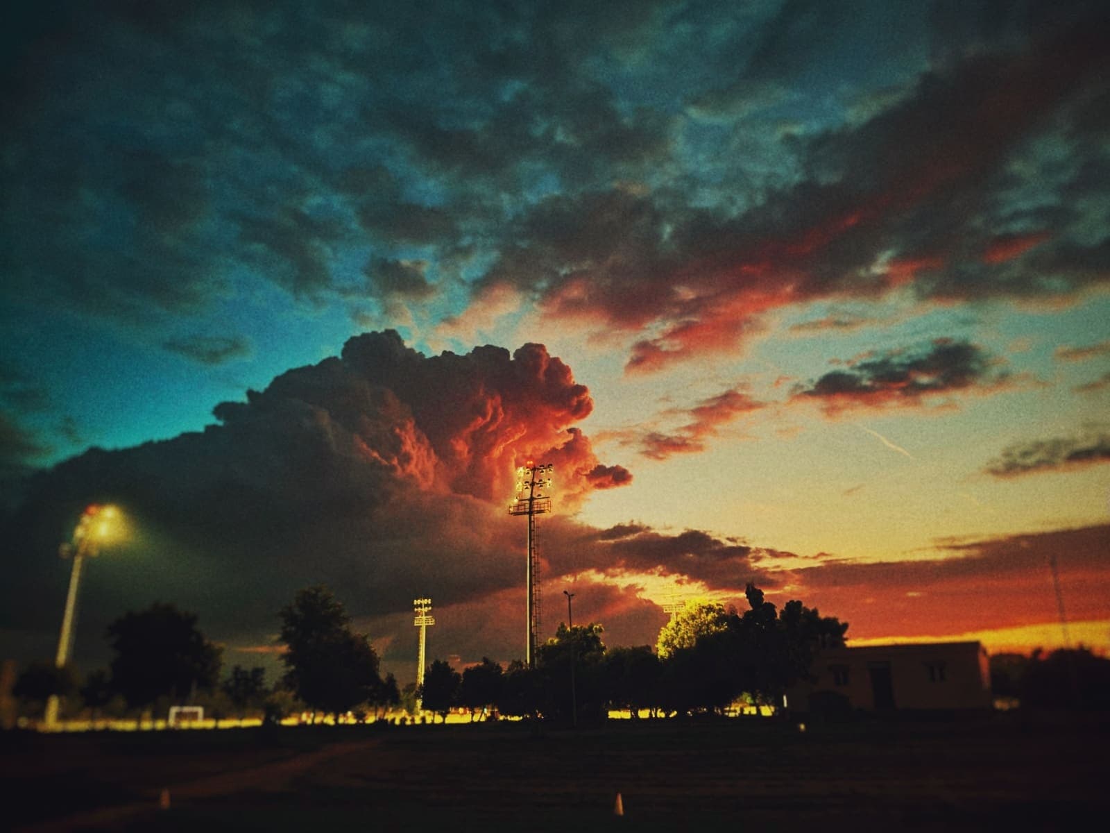 5th in Street Photography at Inter IIT Cult Meet 7.0